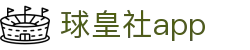 足球数据查询_赛程比分查询与比赛统计分析平台